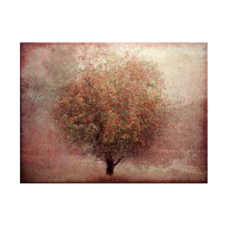 Trademark Fine Art